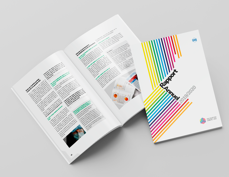 LE RAPPORT ANNUEL D'ACTIVITÉ 2019‐2020