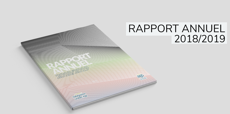 Rapports annuels d'activité 2019