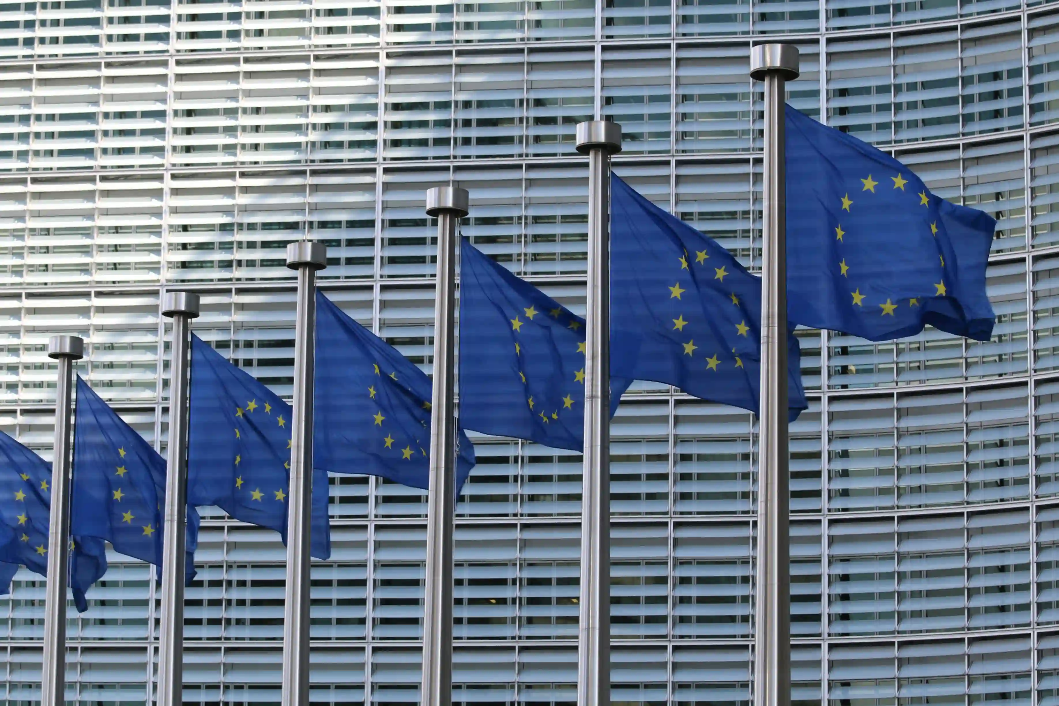 drapeaux de l'union europ&eacute;enne